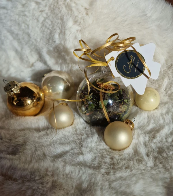 Boule de Noël d'infusion